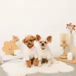 遠赤外線ギンガムチェックロンパースハーネス - 画像 (5)