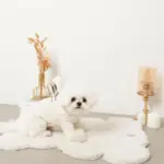 遠赤外線ギンガムチェックロンパースハーネス - 画像 (6)