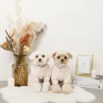 遠赤外線ギンガムチェックロンパースハーネス - 画像 (7)