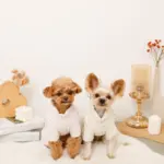 遠赤外線ギンガムチェックロンパースハーネス - 画像 (8)