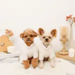 遠赤外線ギンガムチェックロンパースハーネス - 画像 (9)