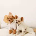 遠赤外線ギンガムチェックロンパースハーネス - 画像 (10)