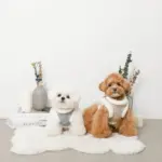 スノー刺繍ハーネス+リードSET【名入れ刺繍対応】 - 画像 (5)