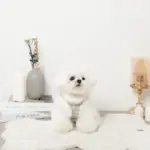 ツイードチェックファーハーネス+リードSET【名入れ刺繍対応】 - 画像 (4)