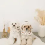 ムートンボアフードハーネス - 画像 (6)