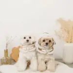 ムートンボアフードハーネス - 画像 (7)