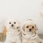 ムートンボアフードハーネス - 画像 (8)