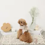 くまさんギンガムチェックおんぶハーネス+リードSET【名入れ刺繍対応】 - 画像 (2)