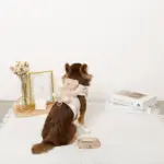 くまさんギンガムチェックおんぶハーネス+リードSET【名入れ刺繍対応】 - 画像 (4)