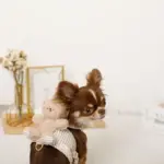 くまさんギンガムチェックおんぶハーネス+リードSET【名入れ刺繍対応】 - 画像 (9)