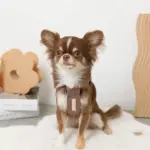 PUレザー×ワッフルハーネス - 画像 (3)