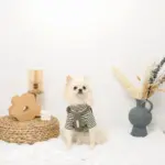 PUレザー×ワッフルハーネス - 画像 (5)