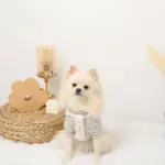 PUレザー×ワッフルハーネス - 画像 (6)