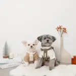 PUレザー×ワッフルハーネス - 画像 (8)