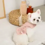 コットンレースフリルハーネス+リードSET【名入れ刺繍対応】 - 画像 (4)