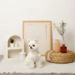 コットンレースフリルハーネス+リードSET【名入れ刺繍対応】 - 画像 (5)