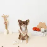 ボアチューリップ刺繍ハーネス+リードSET【名入れ刺繍対応】 - 画像 (2)