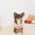 ボアチューリップ刺繍ハーネス+リードSET【名入れ刺繍対応】 - 画像 (8)