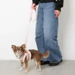 ボアチューリップ刺繍ハーネス+リードSET【名入れ刺繍対応】 - 画像 (10)