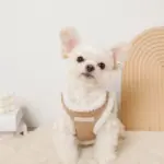 ニットボアハーネス+リードSET【名入れ刺繍対応】 - 画像 (2)