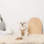 ニットボアハーネス+リードSET【名入れ刺繍対応】 - 画像 (5)