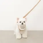 ニットボアハーネス+リードSET【名入れ刺繍対応】 - 画像 (8)