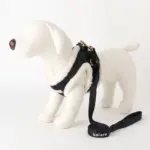 ニットボアハーネス+リードSET【名入れ刺繍対応】 - 画像 (9)