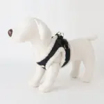 ニットボアハーネス+リードSET【名入れ刺繍対応】 - 画像 (10)