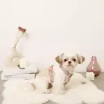 ボアハーネス+リードSET【名入れ刺繍対応】 - 画像 (5)