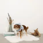 恐竜さんボアフードハーネス - 画像 (4)