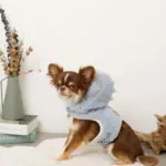 恐竜さんボアフードハーネス - 画像 (5)