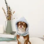 恐竜さんボアフードハーネス - 画像 (6)