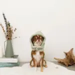 恐竜さんボアフードハーネス - 画像 (7)