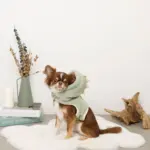 恐竜さんボアフードハーネス - 画像 (8)