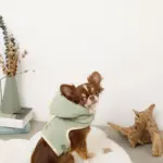 恐竜さんボアフードハーネス - 画像 (9)