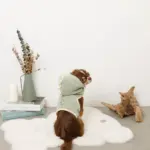 恐竜さんボアフードハーネス - 画像 (10)