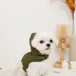 フード付きキルティングダウンライクハーネス+リードSET【名入れ刺繍対応】 - 画像 (3)