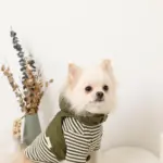 フード付きキルティングダウンライクハーネス+リードSET【名入れ刺繍対応】 - 画像 (5)