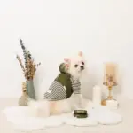 フード付きキルティングダウンライクハーネス+リードSET【名入れ刺繍対応】 - 画像 (6)