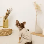 星柄キルティングロンパースハーネス - 画像 (2)