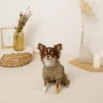 星柄キルティングロンパースハーネス - 画像 (4)