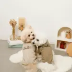 星柄キルティングロンパースハーネス - 画像 (5)