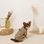 星柄キルティングロンパースハーネス - 画像 (8)