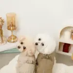 星柄キルティングロンパースハーネス - 画像 (9)