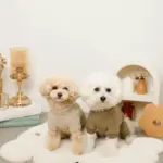 星柄キルティングロンパースハーネス - 画像 (10)