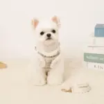 チェック柄ボアハーネス+リードSET【名入れ刺繍対応】 - 画像 (4)