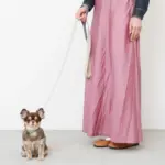 シュリンクレザーハートバックルカラー - 画像 (10)