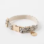 アニマル柄カラー＋リードSET【名入れ彫刻対応】