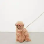 アニマル柄カラー＋リードSET【名入れ彫刻対応】 - 画像 (7)