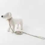 アニマル柄カラー＋リードSET【名入れ彫刻対応】 - 画像 (9)